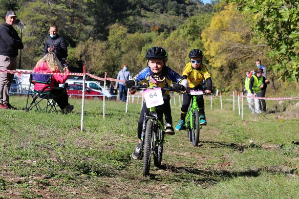 Prélicenciés 2020 00009